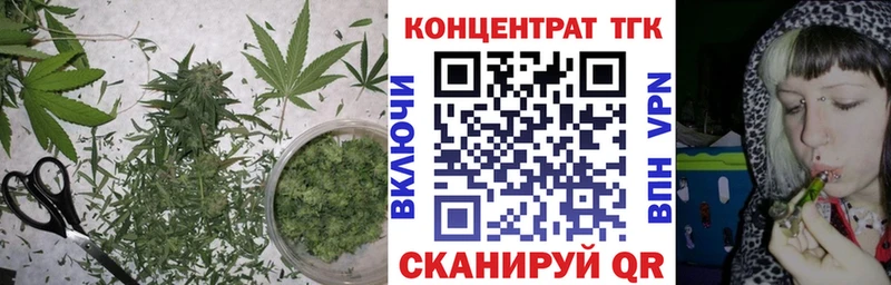 ТГК гашишное масло  Купить закладки  Верхняя Тура 