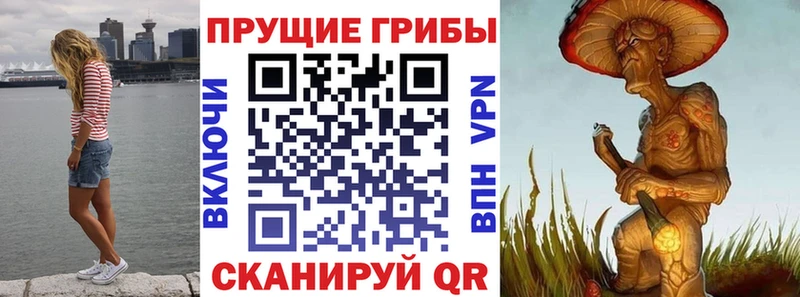 Галлюциногенные грибы GOLDEN TEACHER  Купить закладки  Верхняя Тура 